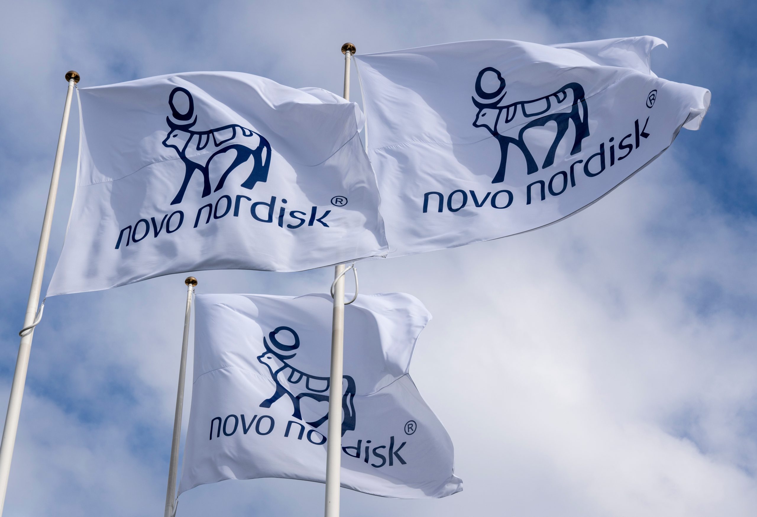 Novo Nordisk rasar